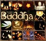 Beginners Guide To Buddha