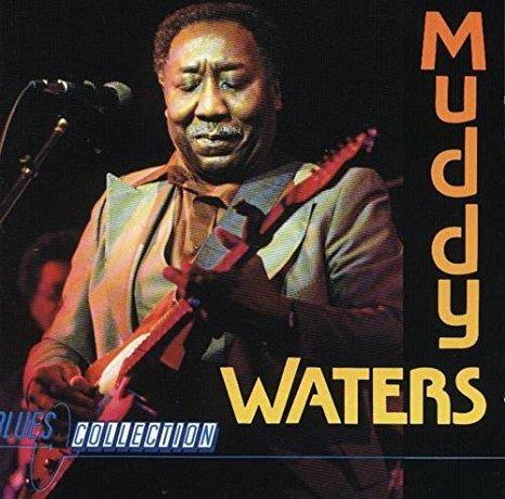 Blues Collection - CD Audio di Muddy Waters