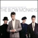 Digging Your Scene. The Best of Blow Monkeys