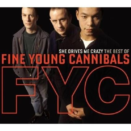 She Drives Me Crazy - CD Audio di Fine Young Cannibals