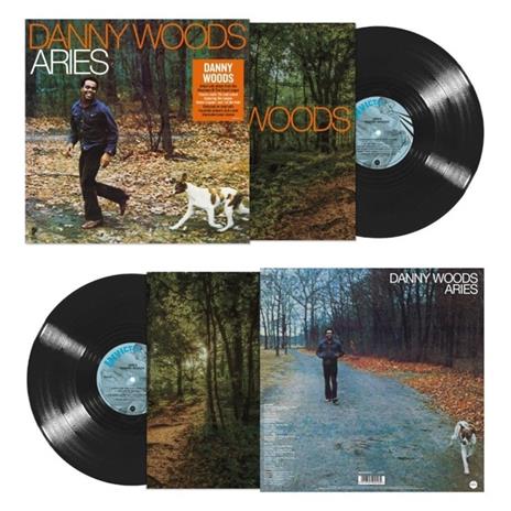 Airies - Vinile LP di Danny Woods - 2