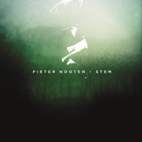 Stem - Vinile LP di Pieter Nooten