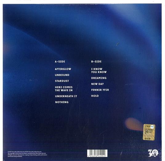 Afterglow (180 gr.) - Vinile LP di Asgeir - 2