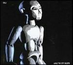 While the City Sleeps - CD Audio di Kalli