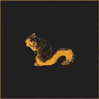 Hide Run Away - Vinile LP di BC Camplight