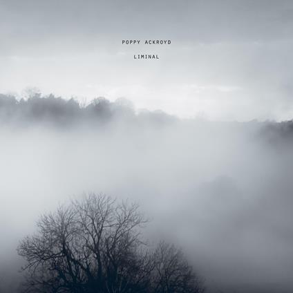 Liminal - Vinile LP di Poppy Ackroyd