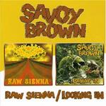 Raw Sienna - Looking in