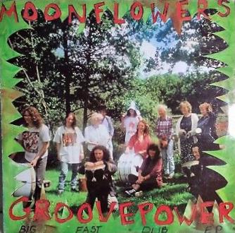 Groovepower (Big Fast Dub E.P.) - Vinile LP di Moonflowers