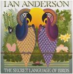 Secret Language Of The Birds