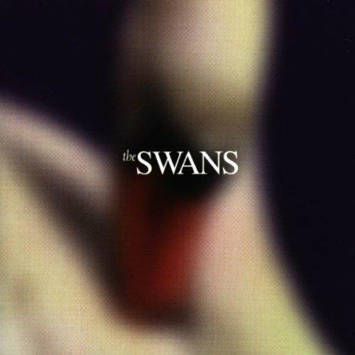 Photographs & Letters - CD Audio di Swans