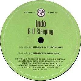 R U Sleeping (Grant Nelson Remixes) - Vinile LP di Indo