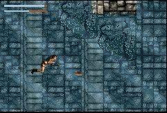 Lara Croft Tomb Raider. Legend - 10