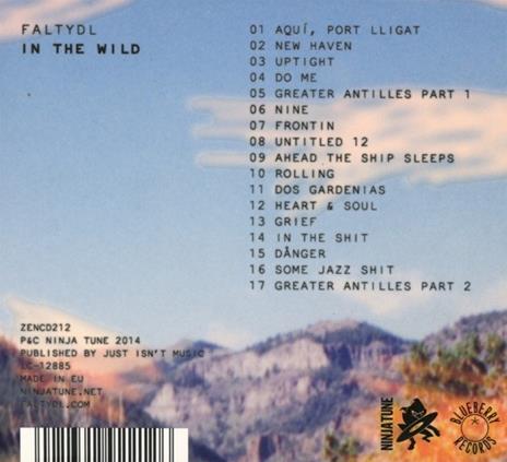 In the Wild - CD Audio di Falty Dl - 2