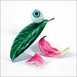 Petals Have Fallen - Vinile LP di Dels