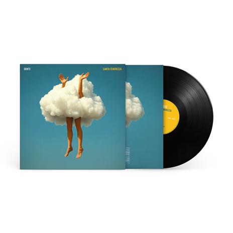 Santa tenerezza - Vinile LP di Dente