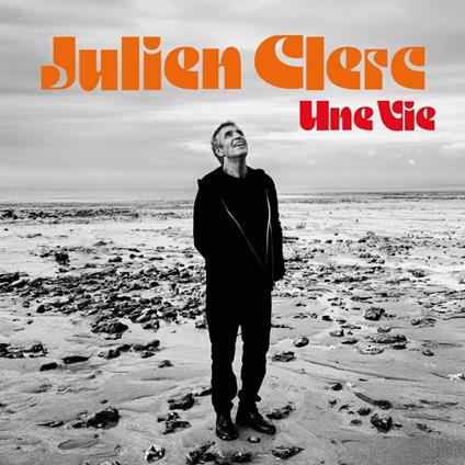 Une Vie - Vinile LP di Julien Clerc