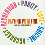 Playing with Fire (180 gr.)