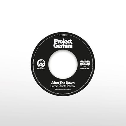 After The Dawn (Large Plants Remix) - Darkness Rising - Vinile 7'' di Project Gemini