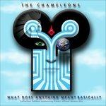 What Doescoll - CD Audio di Chameleons