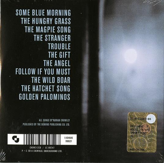 Some Blue Morning - CD Audio di Adrian Crowley - 2