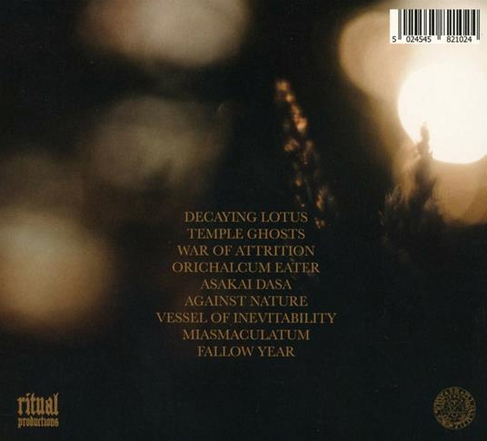 Ancient Lights - CD Audio di Ancient Lights - 2