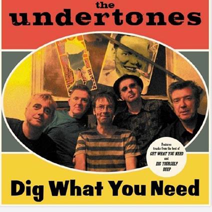 Dig What You Need - CD Audio di Undertones