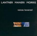 Voices Lowered - CD Audio di Joe Maneri,Joe Morris,Steve Lantner