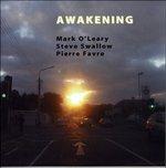 Awakening - CD Audio di Steve Swallow,Pierre Favre,Mark O'Leary