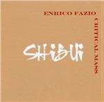 Shibui - CD Audio di Enrico Fazio