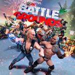 Take 2 Battlegrounds PlayStation 4 Basic Inglese