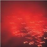 Violence of Discovery - CD Audio di Rafael Toral