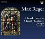 Fantasie corali per organo - CD Audio di Max Reger