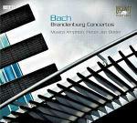 Concerti brandeburghesi - CD Audio di Johann Sebastian Bach,Pieter-Jan Belder,Musica Amphion