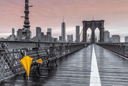 Poster Assaf Frank. Brooklyn Bridge Umbrella 61x91,5 cm.
