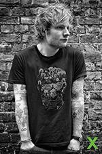 Poster Ed Sheeran. Skull 61x91,5 Cm.