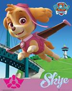 Poster Paw Patrol. Skye 40x50 cm.