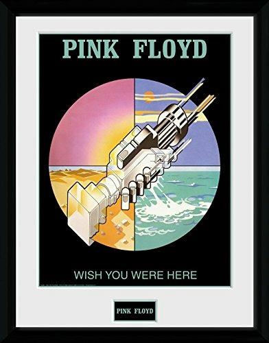 Foto In Cornice Pink Floyd. Wish You Were Here 2
