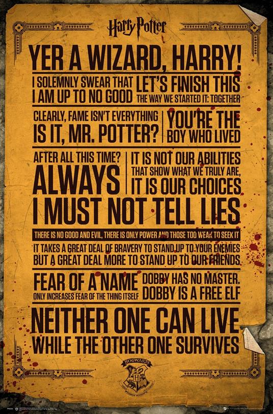 Poster Harry Potter. Quotes 61x91,5 cm.