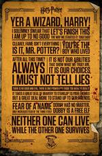 Poster Harry Potter. Quotes 61x91,5 cm.