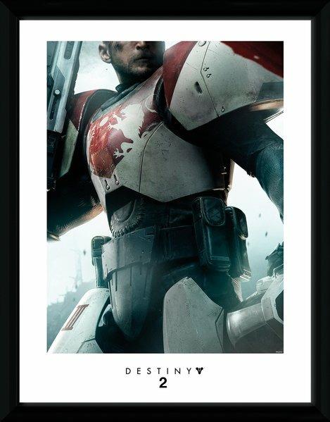 Stampa In Cornice 30x40 Destiny 2. Titan