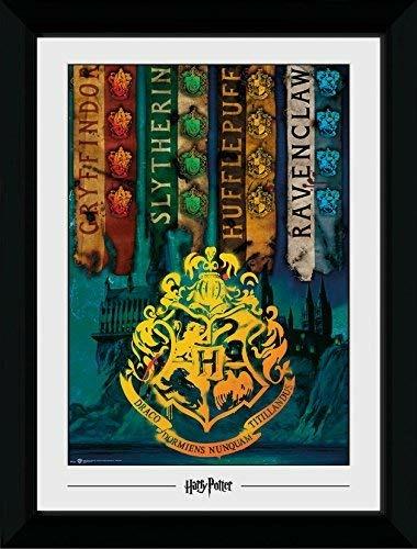 Stampa In Cornice 50x70 Cm Harry Potter. House Flags