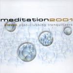 Meditation 2001