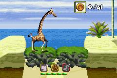 Madagascar - 8
