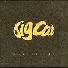 Big Cat Collection - CD Audio
