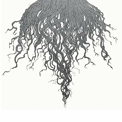 Crow Hill - Vinile LP di Meursault