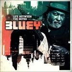Life Between the Notes - CD Audio di Bluey
