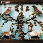 The Museum of Imaginary Animals - CD Audio di Pram