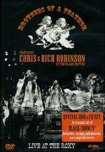 Brothers of a Feather - CD Audio + DVD di Rich Robinson,Chris Robinson