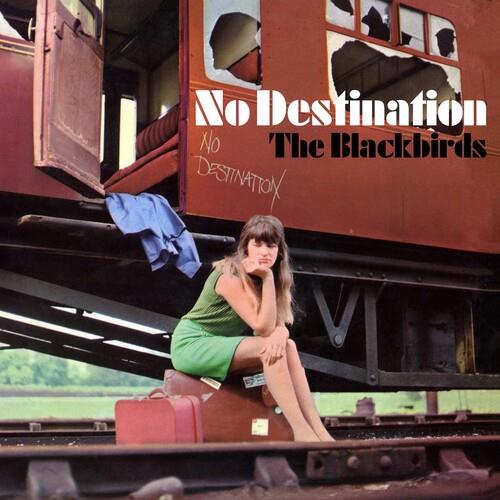 No Destination - Vinile LP di Blackbirds