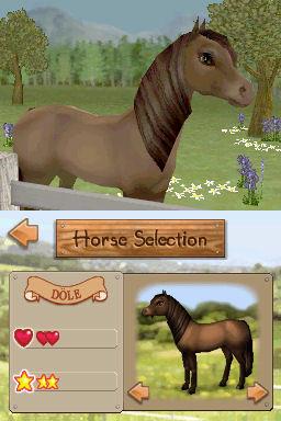 Mary King''s Riding School - 8